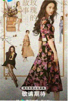 海贼王 桔子在线观看免费高清电视剧动漫